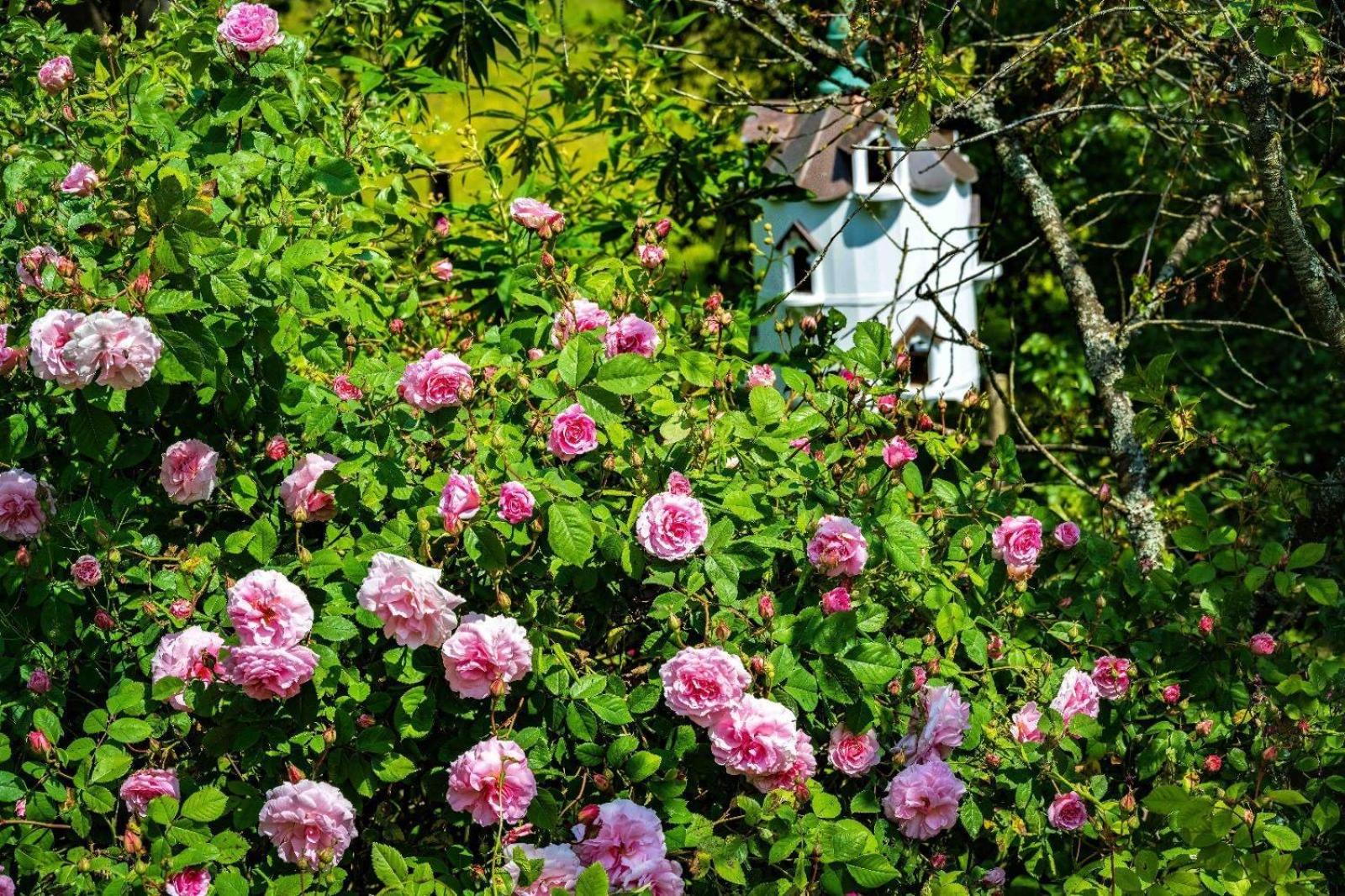 Ebony Cottage Тенбъри Екстериор снимка